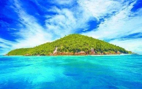 穿越遗弃的森林